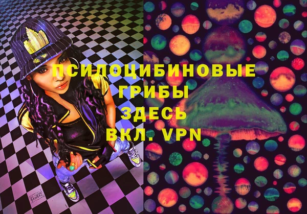 шишки Алексин